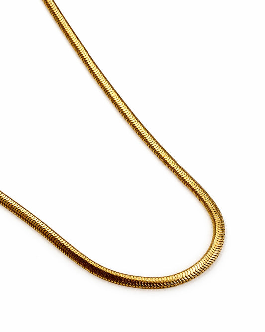 Choker Snake Dourado